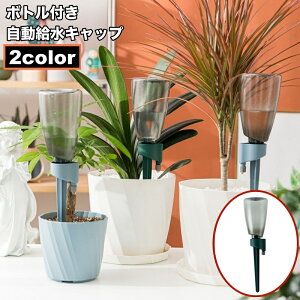  Lbv  {gt ybg{gΉ Aؔ A  Up K[fjOpi ؂΍ | ϗtA K[fjO ƒ؉ Vv s 