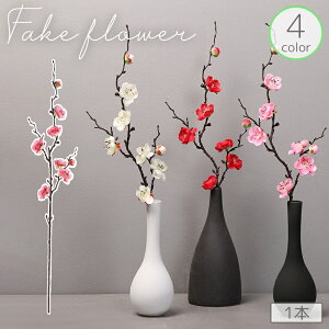  tFCNt[ ~̉ 1{ Pi lH  t[AWg A[gt[ ͂Ȃ i` R CeA    i Y  Q