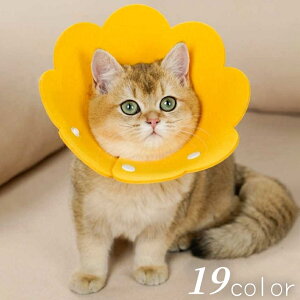  GUxXJ[ L  ybg  Ԍ^ p rߖh~ ی \ Xibv{^ _炩 킢 JoLx