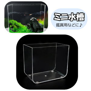  ~j ^   vX`bN ANAE ybgpi  _J  Mы T  ӏ