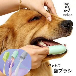 �������� �y�b�g�p���u���V �w�T�b�N�^�C�v ���u���V �����O �w���u���V ���o�P�A �� �L �h�b�O �L���b�g �y�b�g�p�i �y�b�g�O�b�Y �\�t�g ���炩�� �u���b�V���O �����P�A ���|�� ������ 