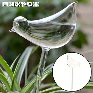    60ml ^ NA  A ϗtA } | K[fjOpi g^   O 璆 s o ȒP ֗ y 