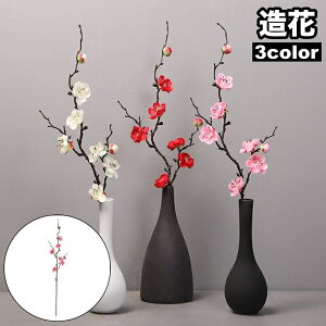   1{ Pi tFCNt[  ~ t[AWg  킢 CeA j p[eB[  ؂₩