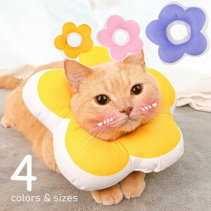 �������� �G���U�x�X�J���[ �\�t�g�J���[ �N�b�V���� �G���J�� �A�j�}���l�b�J�[ �� �L ���^�� ���r�ߖh�~ �����ނ���h�~ �p�� ���Ì� �h�b�O �L���b�g �y�b�g�p�i �P�A�O�b�Y �p�[�v�� �C