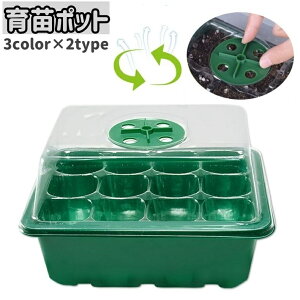  c|bg 6 12 Wt Jo[ ʋC cgC c ܂  琬 ͔|  vX`bN ƒ؉  A