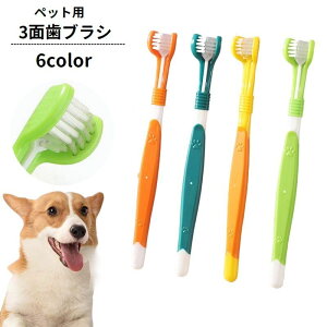 �������� �y�b�g�p���u���V ���p �L�p �g���v�����u���V 3D���u���V 3�ʃu���V ������ �f���^���P�A ���� ���L �����a�\�h ���o�P�A ������� �y�b�g�p�i �C�k�p �l�R�p