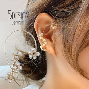  C[Jt CO Ўp fB[X ANZT[ tFCNp[ rW[ i mz[sAX CJt C[JtX C[Nbv EFAO ɂȂ ނ 