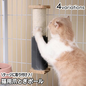  ܂Ƃ Lp ybgp P[Wt ߂Ƃ ܃PA  ܌ ^[ ~j  Lp|[  킢 ܂݂ ˂ lR Lbg O[~Opi ܂̃PA