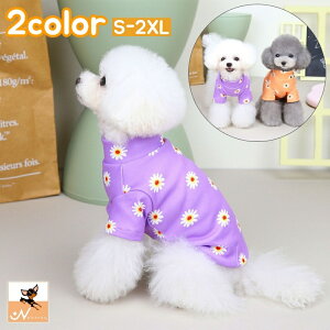  ybgEFA Jbg\[ TVc  L m hbOEFA LbgEFA  nClbN ԕ t[ JWA   ybg ̕ L̕