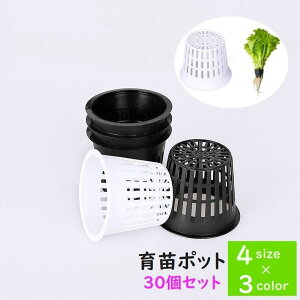  c|bg k͔||bg yk͔||bg 30Zbg _ | ƒ؉ K[fjO  A Vv e  ubN