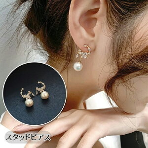  X^bhsAX ANZT[ fB[X p t@bV tFCNp[ CXg[ t[`[t h  i GKg  킢 v[