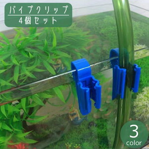  pCvNbv p 4Zbg z[X pCv Œ z[XL[v ߉\ |   ANAEpi pi