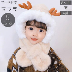  t[ht}t[  lbNEH[}[ ̌^ LbY xr[ q ̎q j̎q Xq tFCNt@[ ӂӂ  giJC  p cm h g  ~ 