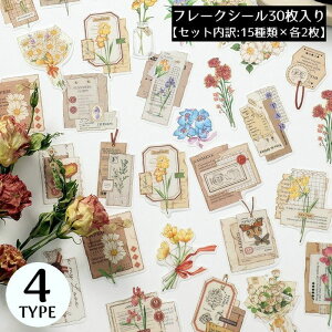  t[NV[ XebJ[ 30Zbg R[Wf  蒠fR Ao L J_[ v[g Mtg g