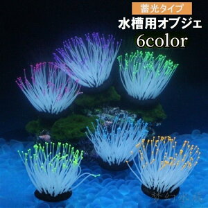 �������� �C�\�M���`���N �V���R���� �~�� ���� �����p�I�u�W�F �A�N�A���E�� �l�H�X�� �l�H�T���S �V���R�[�� �f�R���[�V���� �C���e���A �v�����g �v�����c ���� ���� �Ϗ܋� �M�ы� ���� 