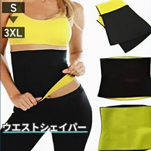  TEixg EGXgVFCp[ EGXpT|[^[  fB[X Y   ͂܂ GNTTCY tBbglX