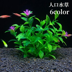  lH lvc ANAeBbNvc  Mы _J  x^ ANAE ybgpi CAEg fR[V  