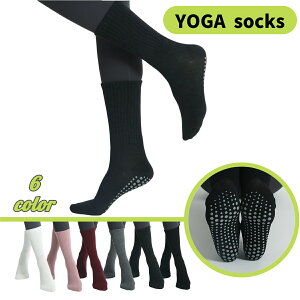  K\bNX C fB[X   N[ ~ Vv  n ׂɂ X|[c g[jO