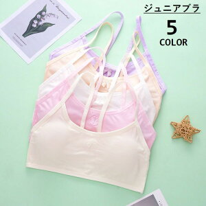  WjAu t@[Xgu n[tgbvu Jbvt LbY ̎q Ci[  mC[ ~j{ Vv w w q