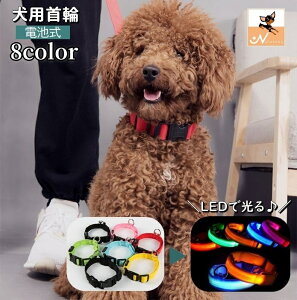   J[  LEDCg dr p Lp ybgpi _ ^b`obN TCY߉\ DJt Vv  U ybgObY Oo o| Ckp ʗp lR 