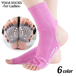  K\bNX fB[X C 5{w I[vgD ܐȂ Ɩ ~ N[ tBbglX W seBX