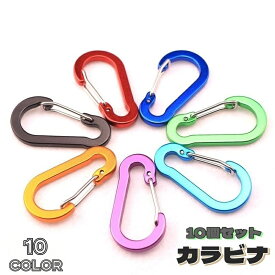 送料無料 カラビナ キーリング 10個セット スポーツ用品 アウトドア用品 アクセサリー キーホルダー Dカン 落下防止 バッグ 鍵 シンプル お洒落 カラフル メタリックカラー アウトドア 登山 トレッキング 釣り 旅行 キーチェーン