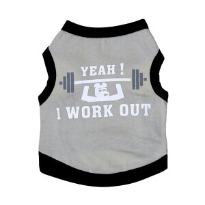   hbOEFA ybgEFA TVc  m[X[u vgTVc p p ybgp   hbO  킢  IV  t  H ^ u