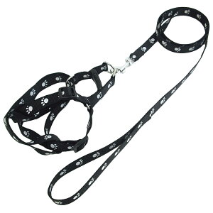  n[lX [h 2_Zbg p n[lX[h ^ ^ UObY o| ybgpi pi ybgObY  5F 3TCY