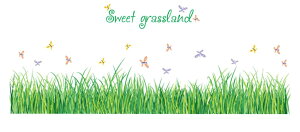 �������� �E�H�[���X�e�b�J�[ �E�H�[���V�[�� �ǃV�[�� �ǎ��V�[�� �ǖʑ��� �Ǒ��� �������� �� ���R �A�� ���X ���傤���� �o�^�t���C �C���e���A DIY �q������ �Q�� ���r���O ���ʏ� ���� 