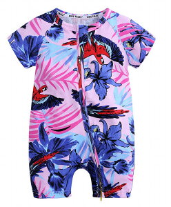  Jo[I[  EhlbN WbvAbv V nCA AWA  Jt   ĕ xr[