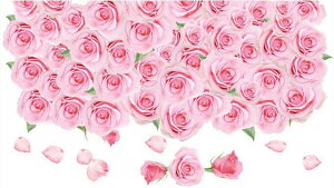  EH[XebJ[ ǎV[ O\  t[ o [Y LC  Lb` ʏ oX[ ͗lւ p[eB CeA G IV  G K