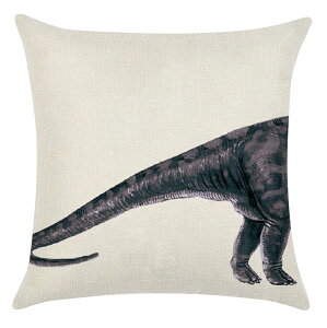  NbVJo[ NbVpJo[ 45×45cm Jo[̂  Aj} XNGA^ lp` ` j[N ʔ  ~ L   ͗lւ C[W`FW C`F 