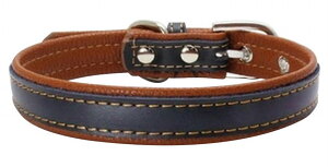  ybg [h ybgObY LANZT[ oCJ[ Xeb` Vv n  ^ ^ Ck lR т 