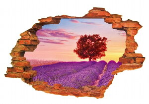  EH[XebJ[ ǎ ǎV[ [fR[V Ǒ gbNA[g 3D ̓I ܂G  iF ٍ Ԕ [ _   ꂢ   ͂