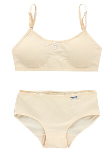  WjA uW[ X^_[hV[c ㉺Zbg Jbvt n[tgbvu Ci[  n 킢 O\ Vv n pbht WjAu