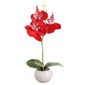 送料無料 造花 胡蝶蘭 コチョウラン ラン 母の日 ミニポット ミニ鉢植え イミテーション フェイクフラワー インテリア おしゃれ オシャレ 綺麗 きれい 可愛い かわいい 装飾 装飾雑貨 インテ