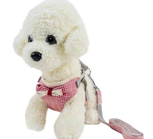  n[lX [h Zbg  p Lp { `FbN  hbg UObY o   킢 ybgpi Ckp ʗp lRp ˂p