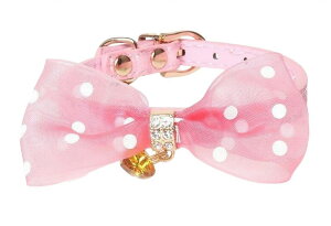   L  J[ lN^C `[J[ ANZT[ hbg xg  `[{ CXg[ ߂  ybgObY Lpi pi Ob^[ bh