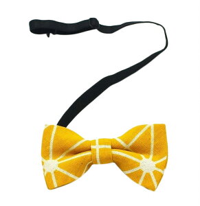  lN^C LbY qp {E^C ̎q j̎q  w Ǝ \  p[eB[ tH[} Jt