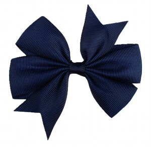  wANbv  wAANZT[ t@bV LbY xr[ Ԃ q ̎q { Vv 킢  JoLx