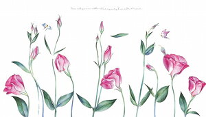  EH[XebJ[ ǃV[ KN o [Y  t[ A  p ǎ ͂  y \邾tH[ ͋Cւ ȒP V[ gC rO _CjO 