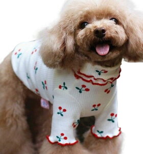  hbOEFA ybgEFA Jbg\[ ̕  m ybgpi ^  TN{ ݕt u Et U o  킢  L̕ ˂