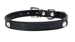   p Lp ybgpi ^ ^ J[ xg^Cv U[ n  U  sN  LL Vv  o