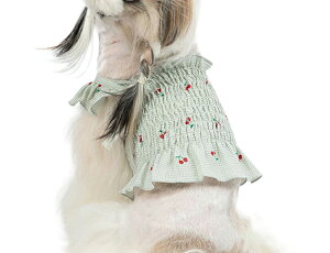  hbOEFA ybgEFA L~\[ ̕  L̕ m ybgpi ^ t SV[O TN{ U o  킢  ˂