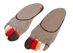  ܖ{w\bNX Y C Jo[\bNX tbgJo[ [t@[C x[V[g Xj[J[ JWA   jp am Jt 5{w X|[c N u