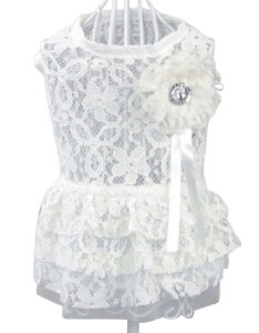  ybgEFA s[X  L pEFA hbOEFA   sN [X t `[ bV    U LOʐ^ CX^f Mtg v[g 