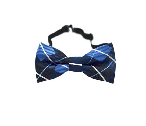  lN^C LbY q j̎q ̎q t@bV ߉\ tH[}   w  p[eB[ Cxg \ o 