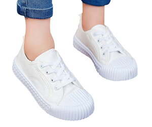  Xj[J[ LoXV[Y qC j̎q ̎q LbY WjA ^C SR Xb| ؂ [Jbg n    F ʊw Vv JWA