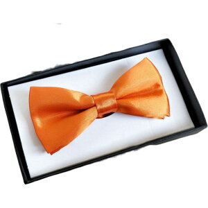  lN^C {E^C LbY q j̎q ̎q lN^C { tH[} Ђt J[Lx         sN O[ J[L x[W lCr[ Vv JW