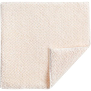  ӂ z 2Zbg 25×25cm `  Lb`NX fBbVNX }CNt@Co[ H@ @ Vv z  PF n fC[ 䏊 | piG